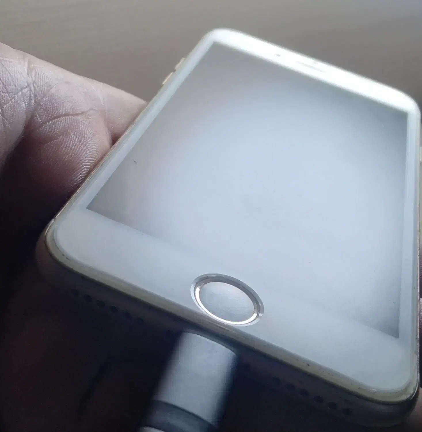 آیفون ۷ ، ۳۲ گیگ طلایی|موبایل|رودسر, |دیوار