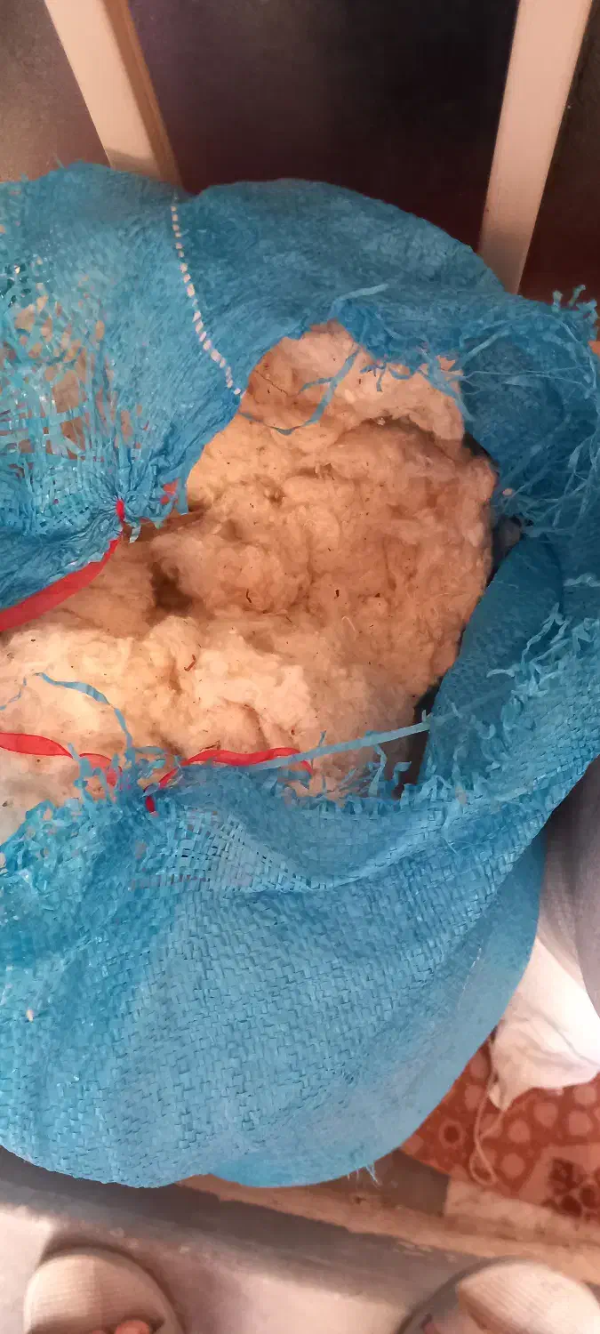 پنبه ی کارکرده|رختخواب، بالش، پتو|آران و بیدگل, |دیوار