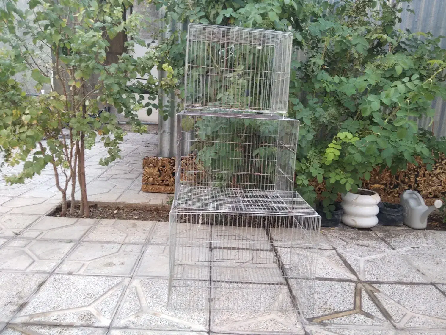 قفس پرنده|لوازم جانبی حیوانات|رومشکان, |دیوار