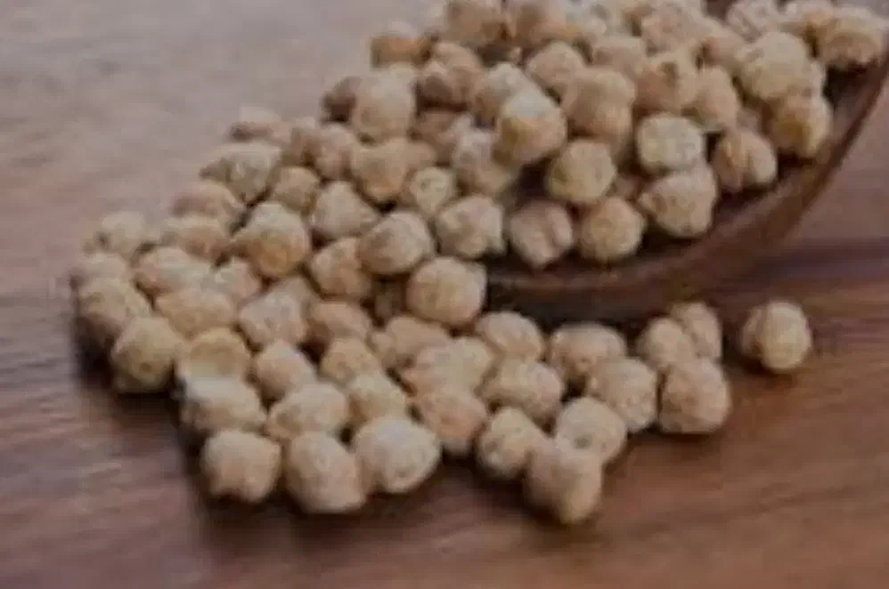 نخود پاییزه بذر ترکی|عمدهفروشی|جعفرآباد, |دیوار