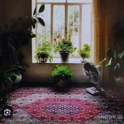 اجاره واحد ۴۵ متری گلبرگ صفایی