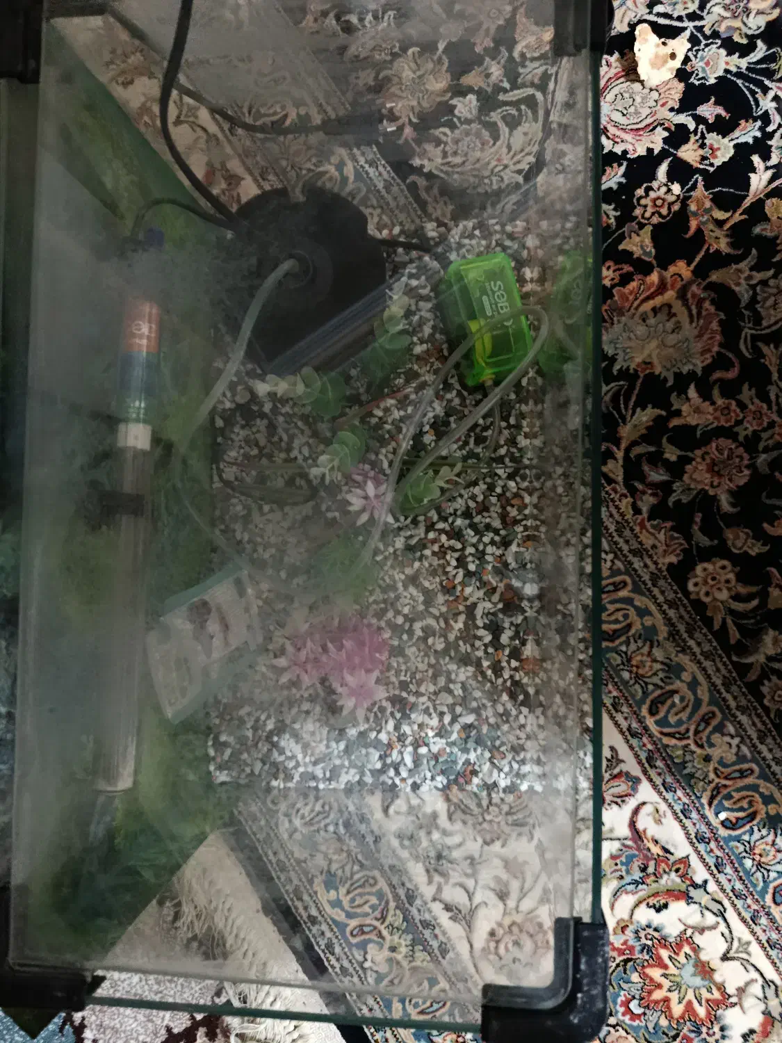 آکواریوم|ماهی|تهران, خزانه|دیوار