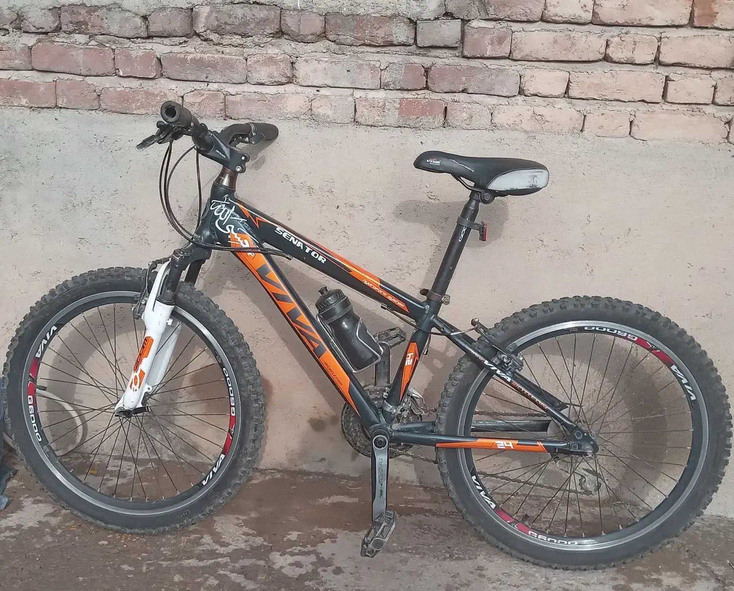 دوچرخه ویوا|دوچرخه، اسکیت، اسکوتر|بناب, |دیوار