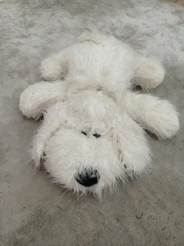 تعدادی اسباب بازی|اسباب‌‌بازی|گرگان, |دیوار