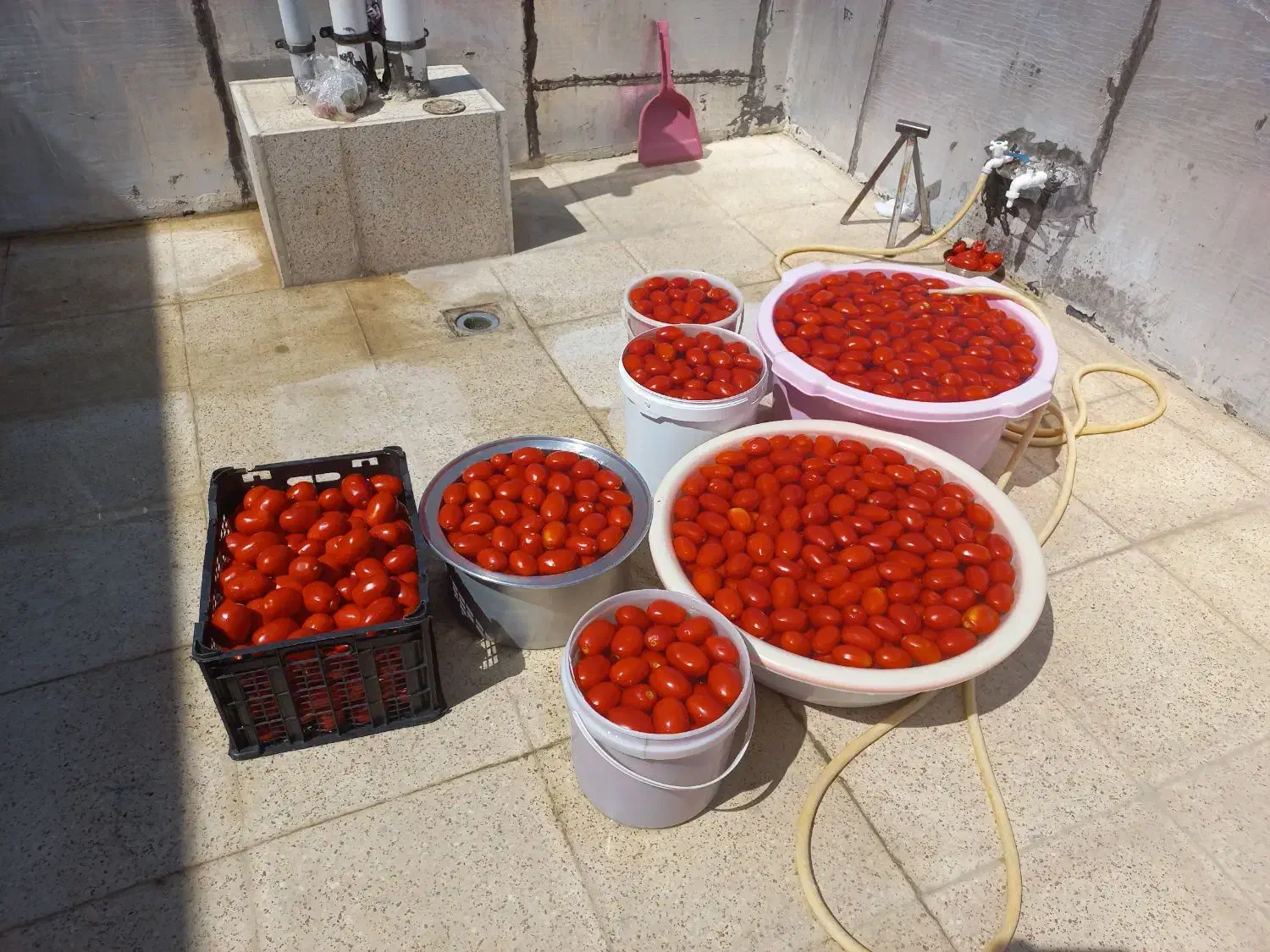 رب محلی|خوردنی و آشامیدنی|کامیاران, |دیوار