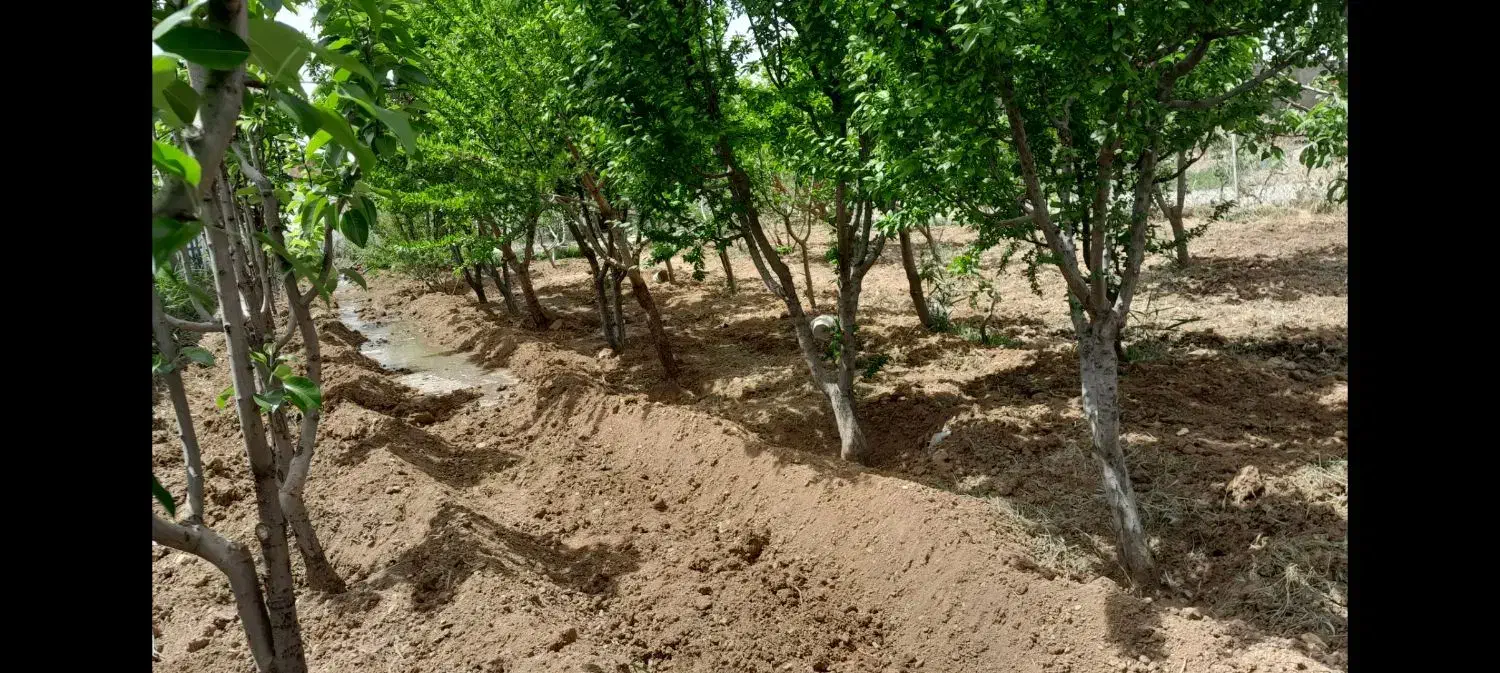 ویلا و گاوداری با مجوز ۴۹ راس گوشتی|فروش دفتر صنعتی، کشاورزی، تجاری|شال, |دیوار