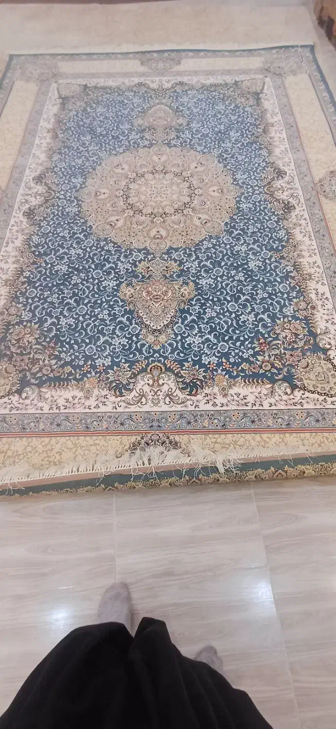 فرش ۱۲۰۰شانه شانه۳۶۰۰ تراکم|فرش|بانه, |دیوار