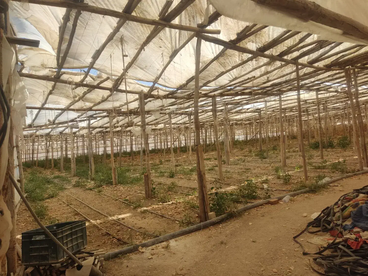 گلخانه چوبی|عمدهفروشی|زیباشهر, |دیوار