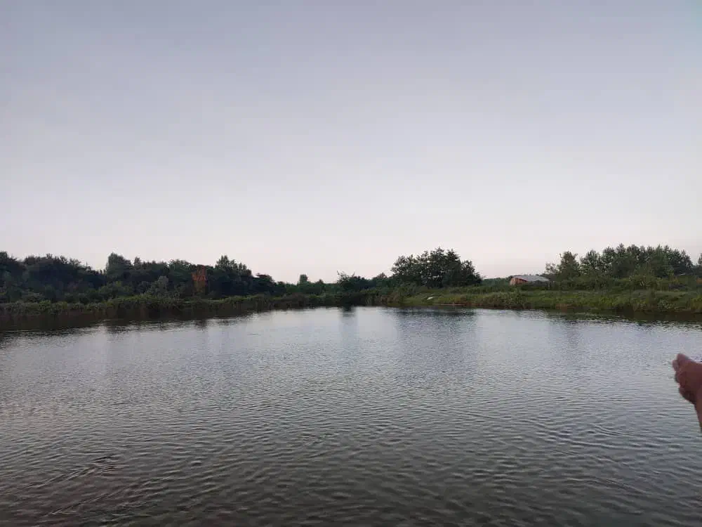 استخرماهی ۳هکتارجاده جیرده|فروش زمین و ملک کلنگی|شفت, |دیوار