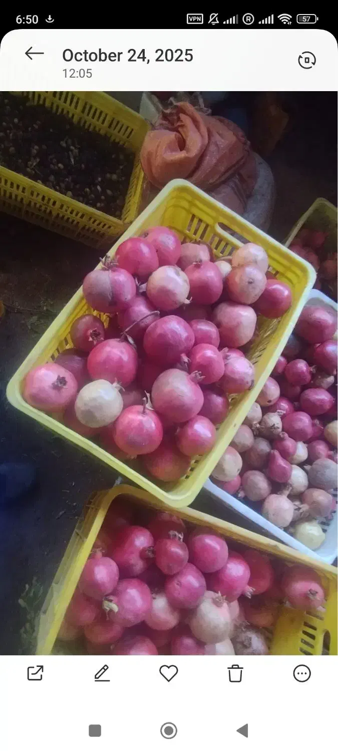 انار طارم|خوردنی و آشامیدنی|گیلوان, |دیوار