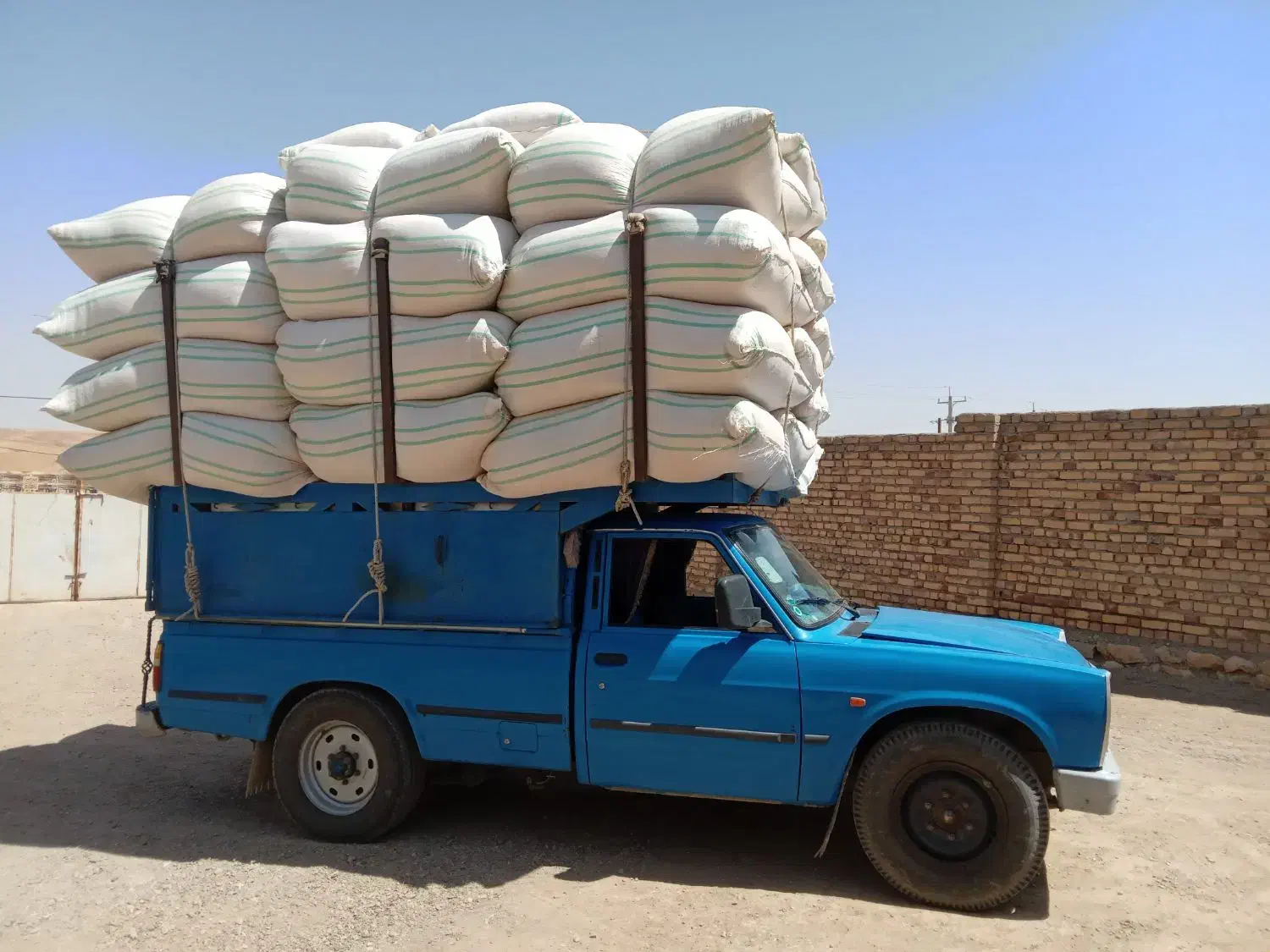 گاه گندم دیم|عمده‌فروشی|چهارباغ, |دیوار