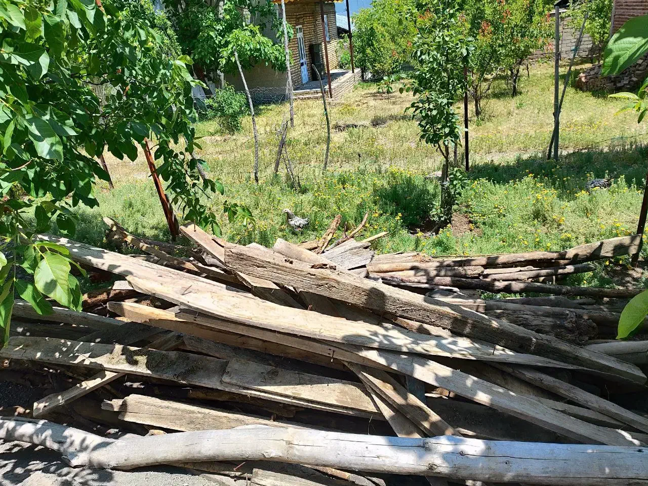 هیزم|خدمات باغبانی و درختکاری|خلخال, |دیوار