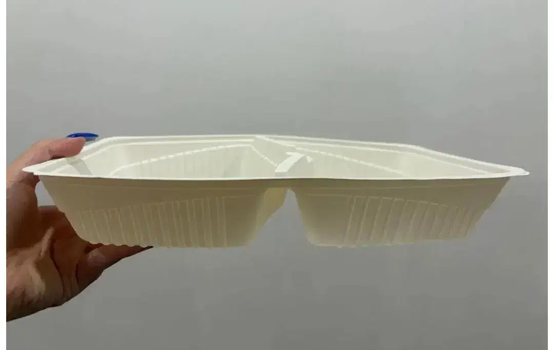 تعدادی زیادی ظرف غذا یک بار مصرف گیاهی پلمپ|ظروف نگهدارنده، پلاستیکی، یک‌بارمصرف|اراک, |دیوار