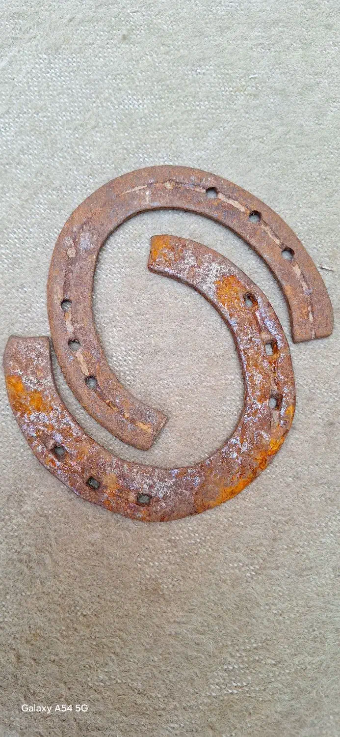 نئل اسب نعل|اسب و تجهیزات اسب‌سواری|ایذه, |دیوار