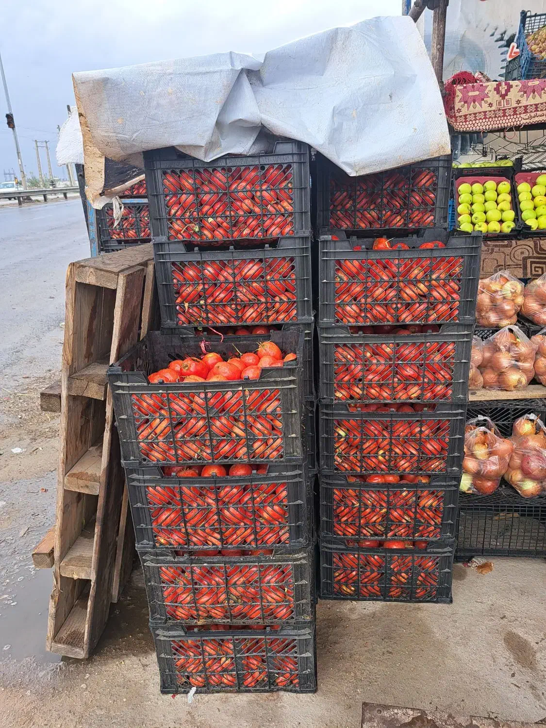 گوجه به قیمت گوجه ربی ۱۰تومان وتربار حراجی|حراج|گنبد کاووس, |دیوار