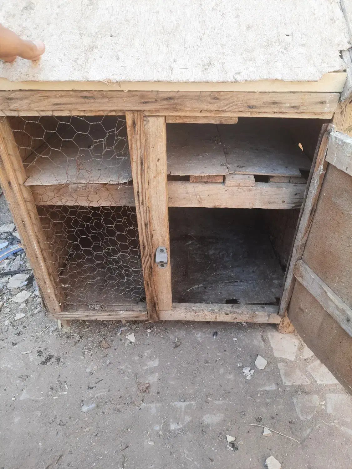 یک عددکلبه دو تبقه چوبی|لوازم جانبی حیوانات|رفسنجان, |دیوار