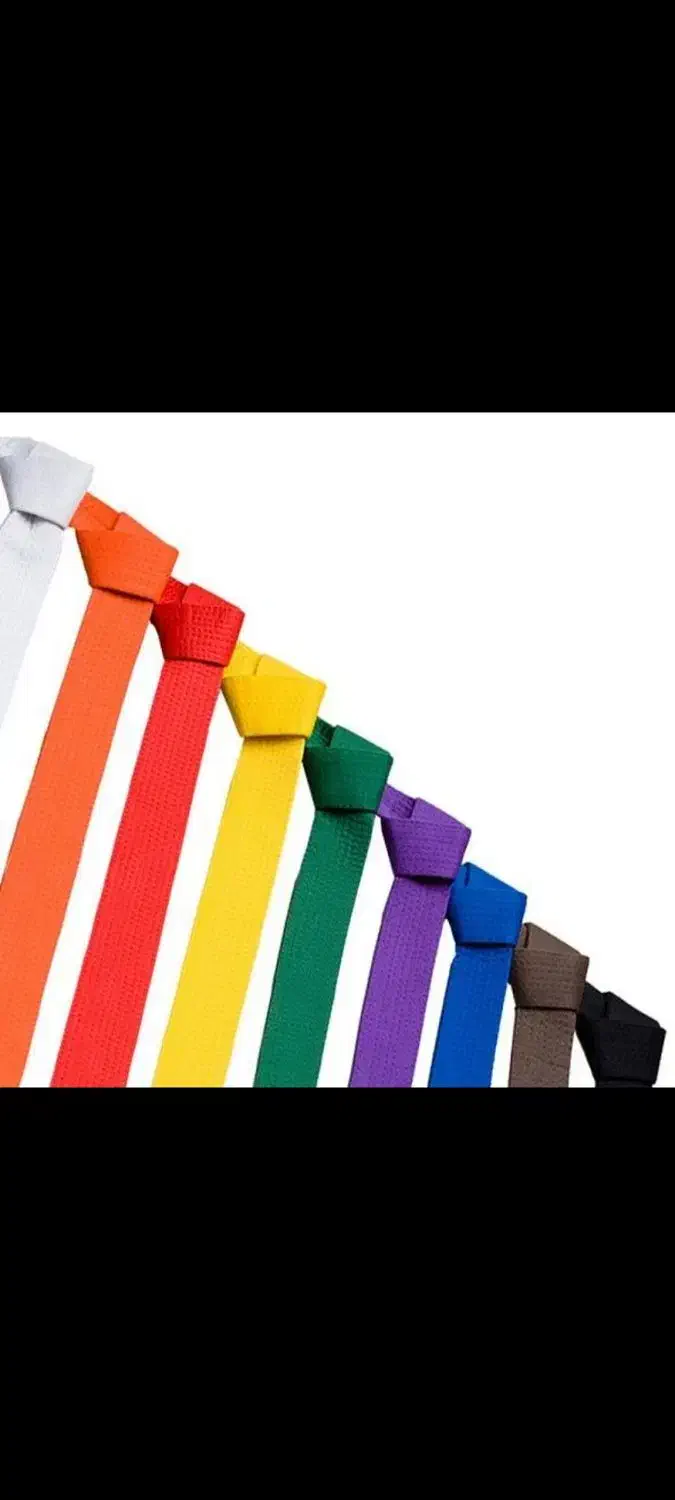 آموزش حرفه ای کاراته|خدمات آموزشی|تبریز, |دیوار