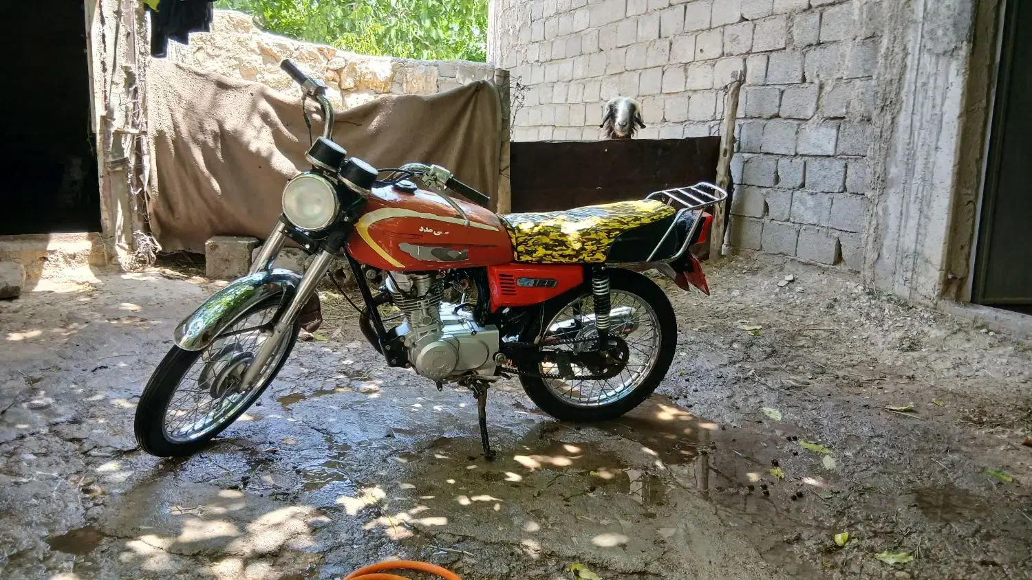 هوندا مدل 88 پنج دنده|موتورسیکلت|کوهرنگ, |دیوار