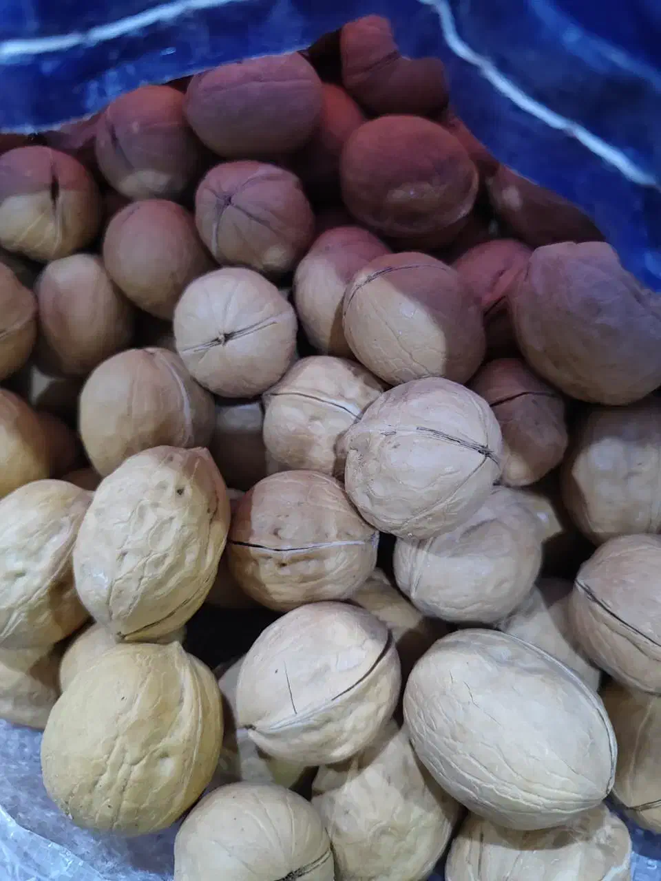 گردو کاغذی سفید آمریکایی  چای عراقی عطر دار لویس|خوردنی و آشامیدنی|اهواز, شهرک رزمندگان|دیوار