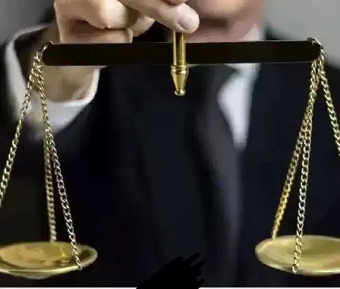 همکاری با موسسه حقوقی معتبر|استخدام مالی، حسابداری، حقوقی|تهران, جمالزاده|دیوار