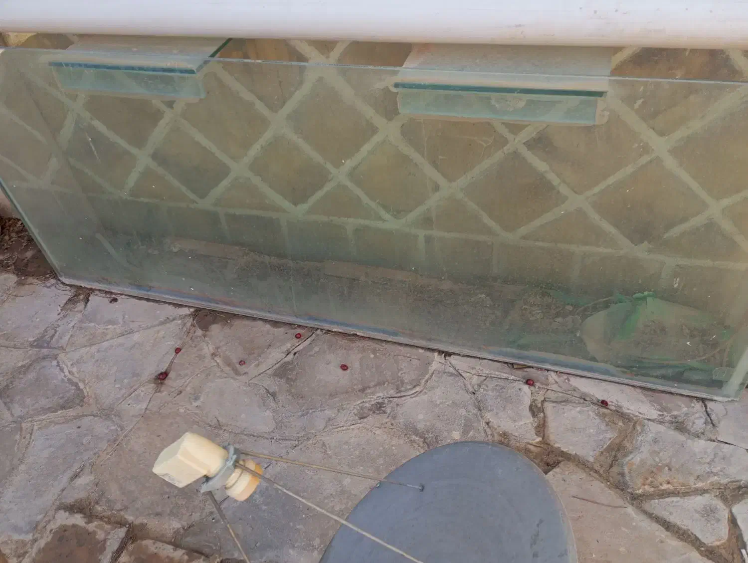 آکواریوم|ماهی|بیرجند, |دیوار