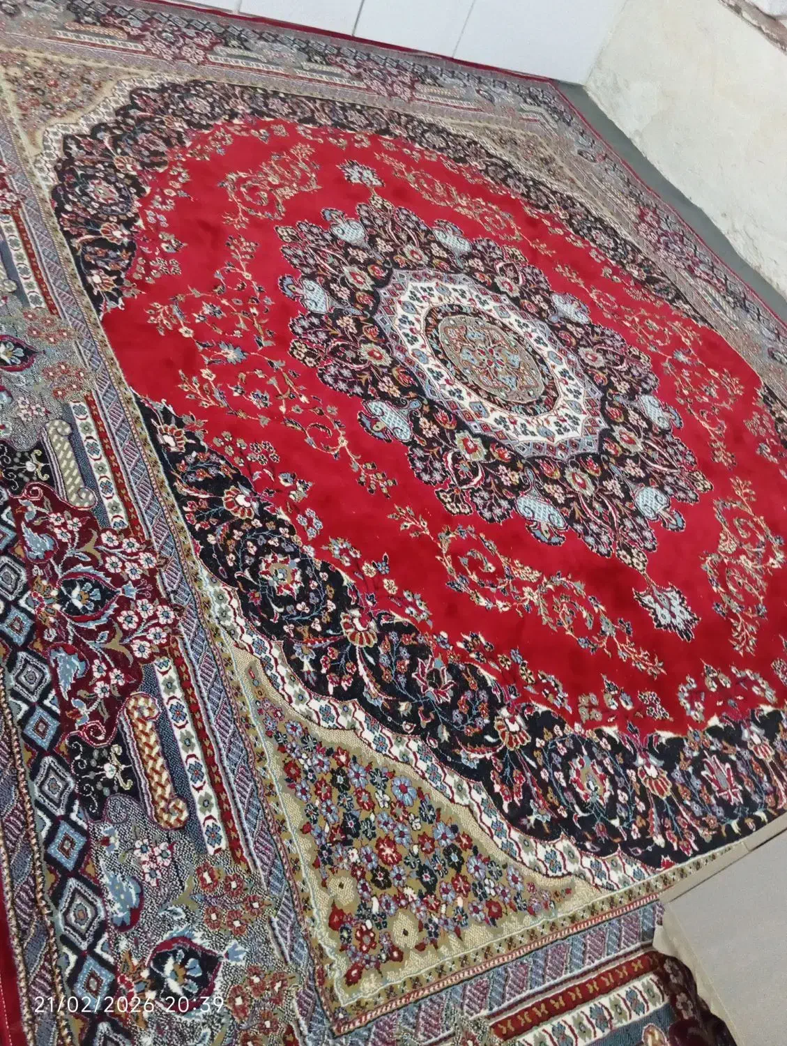 فرش|فرش|شوط, |دیوار