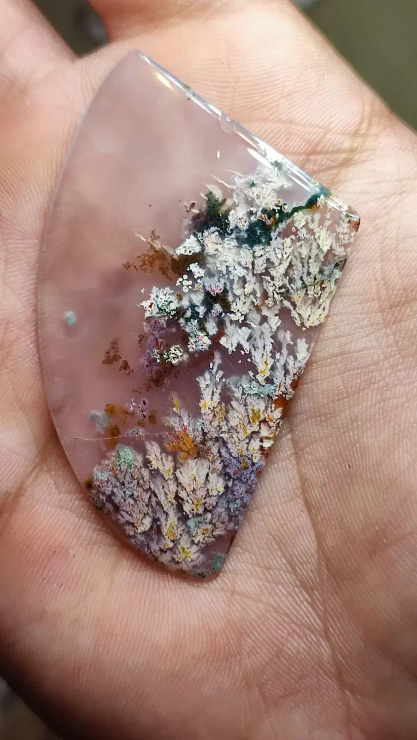 سنگ شجر|جواهرات|فردوس (خراسان), |دیوار