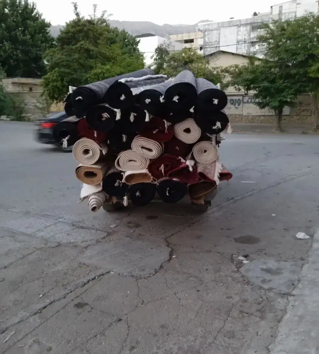 قالیشویی حسنی|خدمات نظافت|زنجان, |دیوار