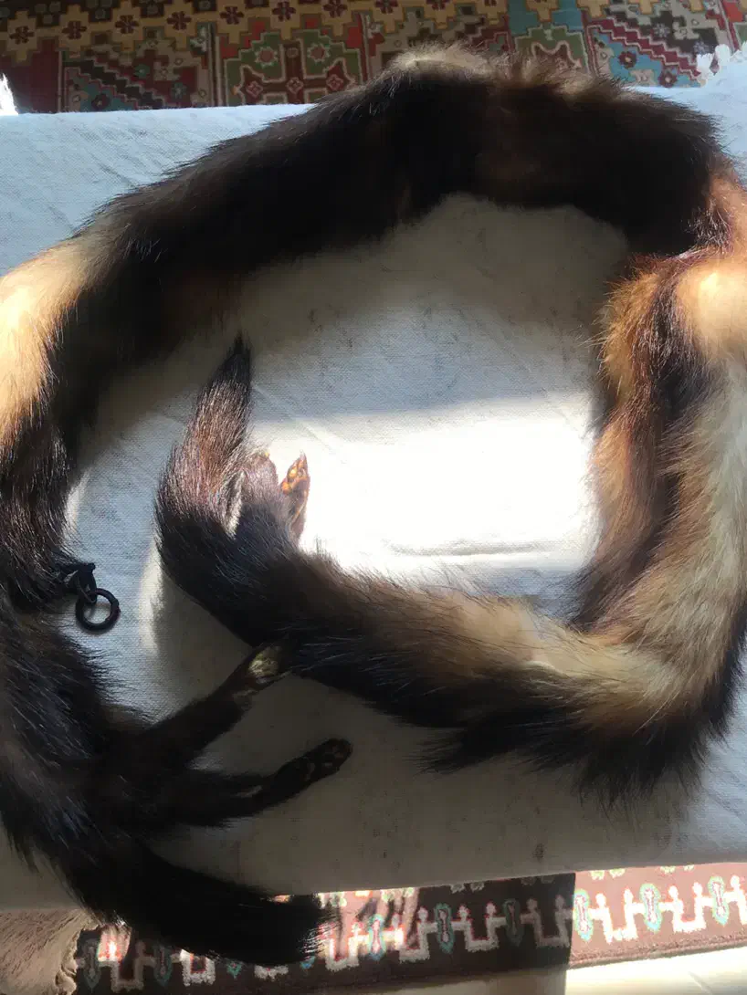 شال تزیینی|لباس|تهران, مینی‌سیتی (شهرک نفت)|دیوار