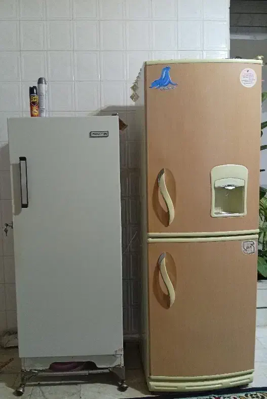 دوعدد یخچال سالم|یخچال و فریزر|لنجان, |دیوار