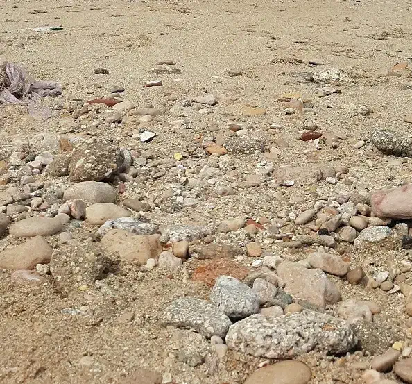 زمین  تجاری مسکونی|فروش زمین و ملک کلنگی|مرودشت, مجد آباد|دیوار