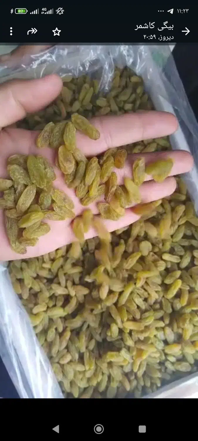 کشمش سبز|خوردنی و آشامیدنی|قزوین, |دیوار