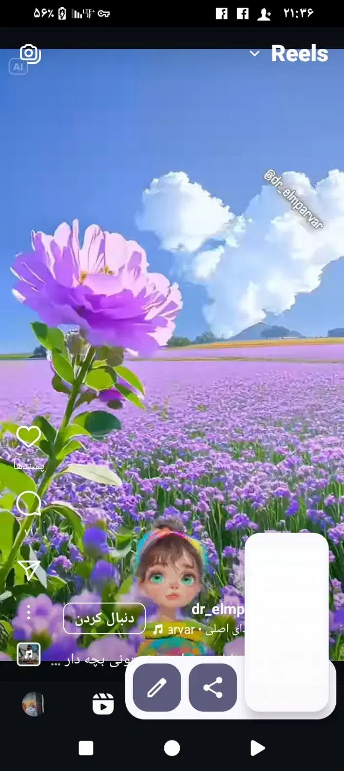 کیسه خالی شکر|عمده‌فروشی|باخزر, |دیوار