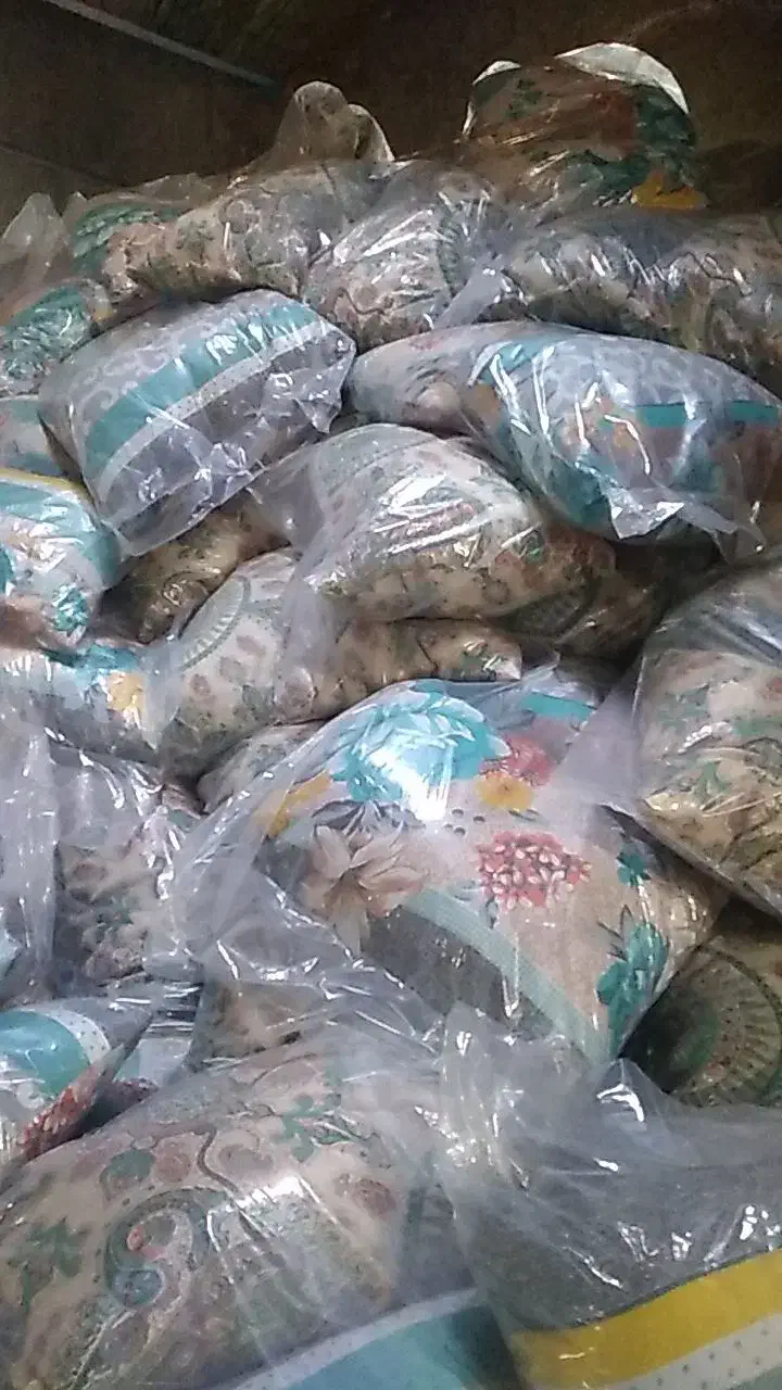 پخش بالشت الیاف طبیعی|رختخواب، بالش، پتو|آبادان, |دیوار