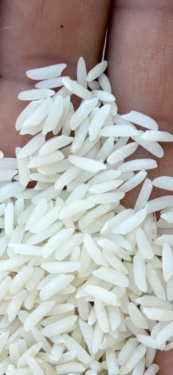 برنج هاشمی|خوردنی و آشامیدنی|تهران, سعادتآباد|دیوار