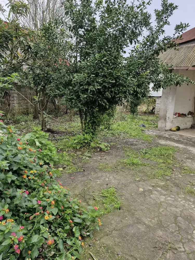 فروش زمین کاسبی ۳۴۷متری حوزه شهر رودبنه|فروش زمین و ملک کلنگی|رودبنه, |دیوار