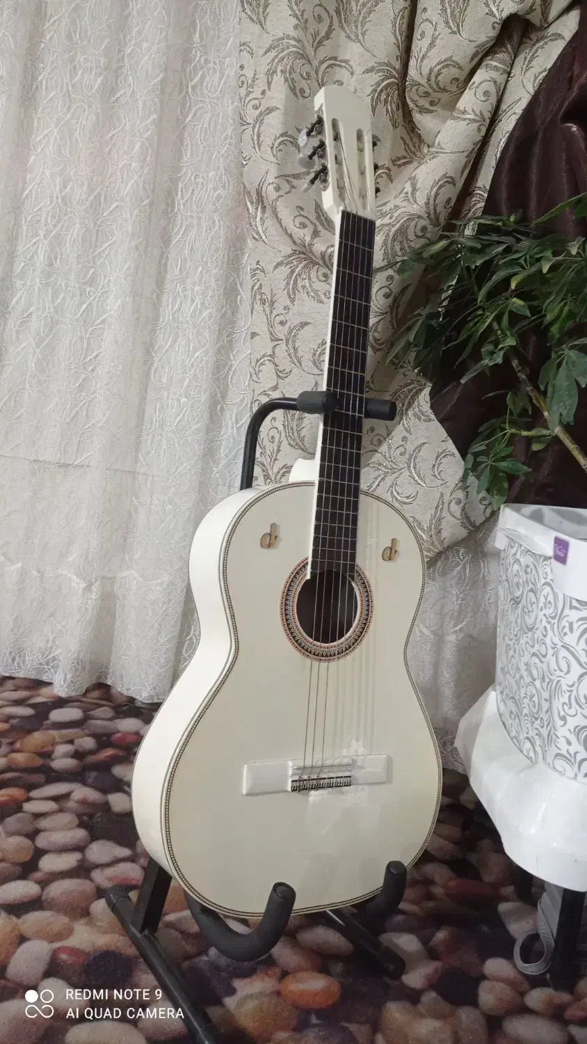 گیتاربه قیمت تولید به علت جمع آوری|گیتار، بیس، امپلیفایر|مشهد, شهید آوینی|دیوار