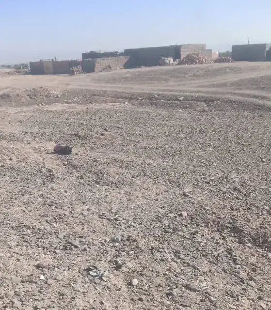 زمین فروشی|فروش زمین و ملک کلنگی|ایرانشهر, |دیوار