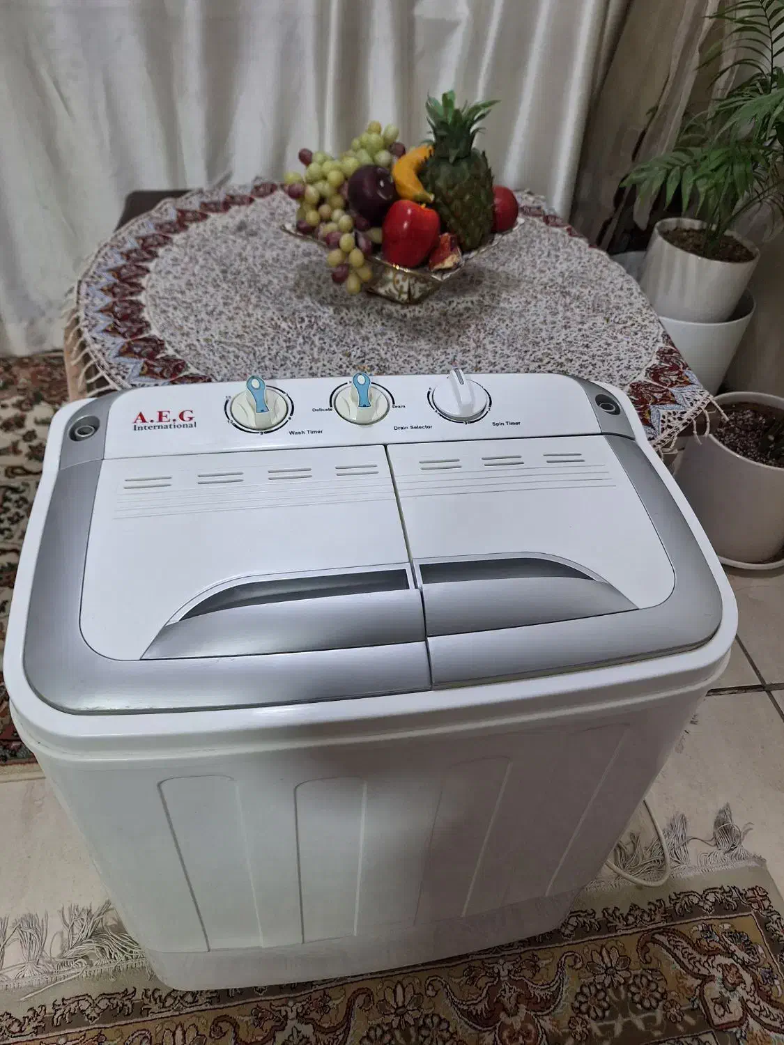 لباسشویی|ماشین لباسشویی و خشک‌کن لباس|شیراز, باغ تخت|دیوار