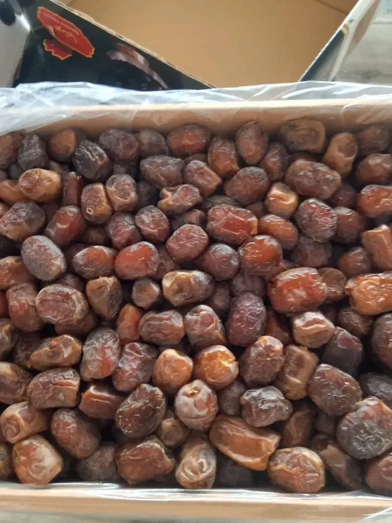 خرمای عسلی مرداسنگ|خوردنی و آشامیدنی|ری, شهرک نظامی|دیوار