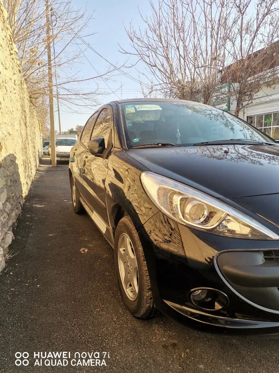 207 ارتقا یافته سقف پانورما|خودرو سواری و وانت|ملایر, |دیوار