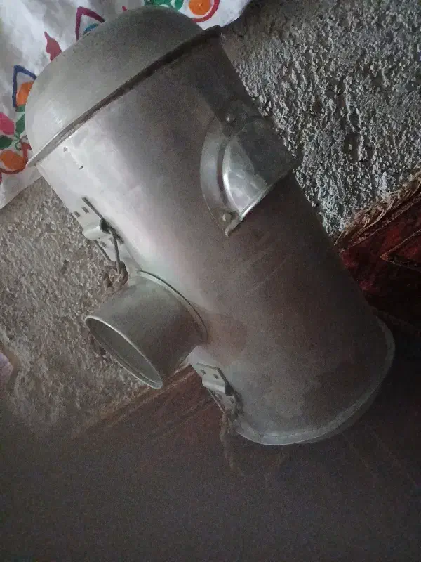 شیر|لوازم جانبی حیوانات|هامون, |دیوار