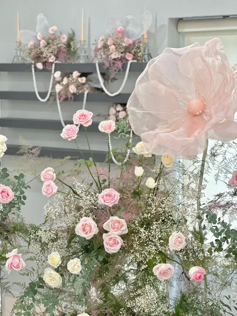 دیزاین و تشریفات|خدمات پذیرایی، مراسم|بندرعباس, |دیوار