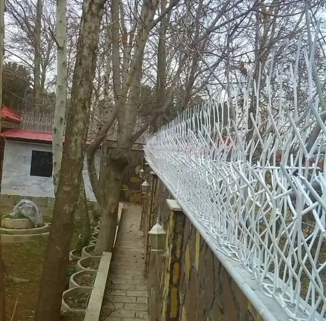 حفاظ شاخ گوزنی سهیلیه تهراندشت هشتگرد کرج|خدمات پیشه و مهارت|هشتگرد, هشتگرد قدیم|دیوار