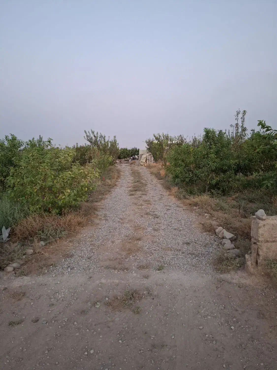 فروش باغچه ۱۰۰۰متری قابل تهاتر|فروش زمین و ملک کلنگی|نظرآباد, خسروآباد|دیوار