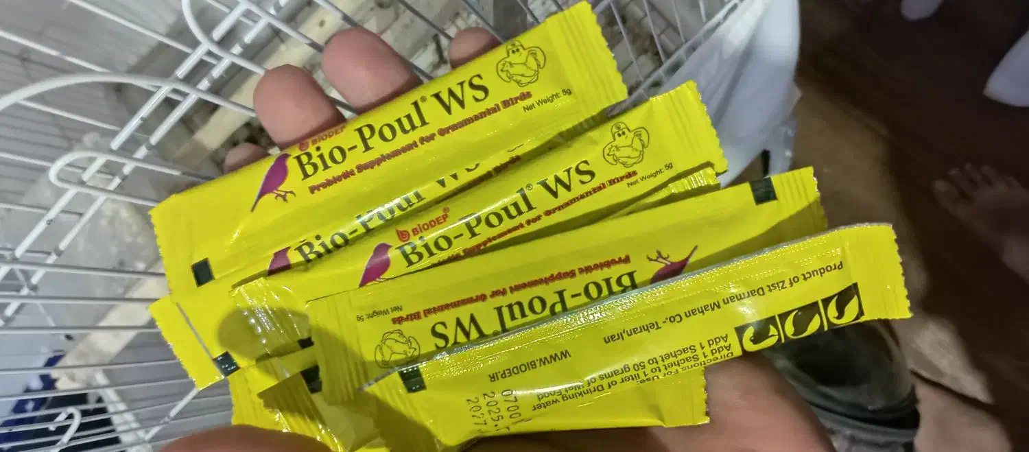 مکمل بیوپول|لوازم جانبی حیوانات|مسجد سلیمان, |دیوار