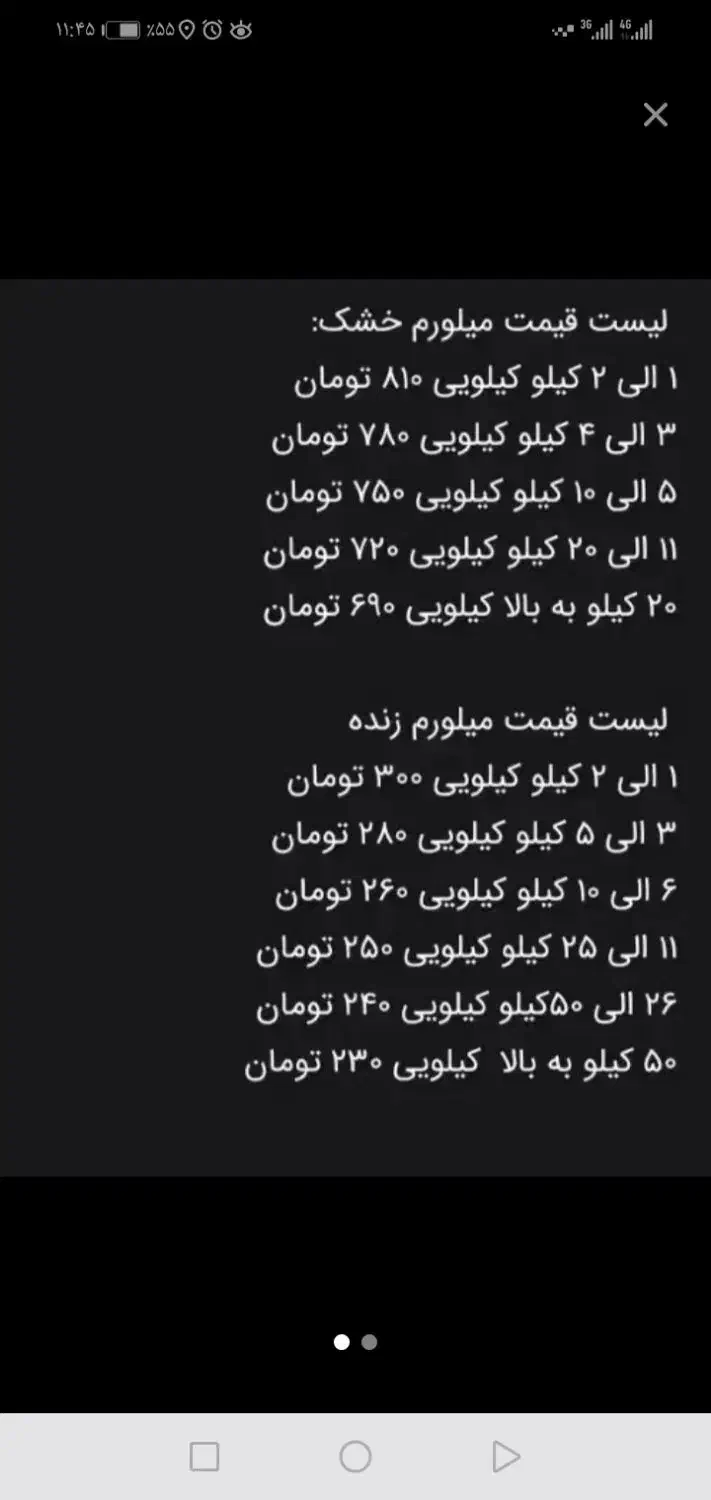 میلورم|خزنده|قم, بنیاد|دیوار