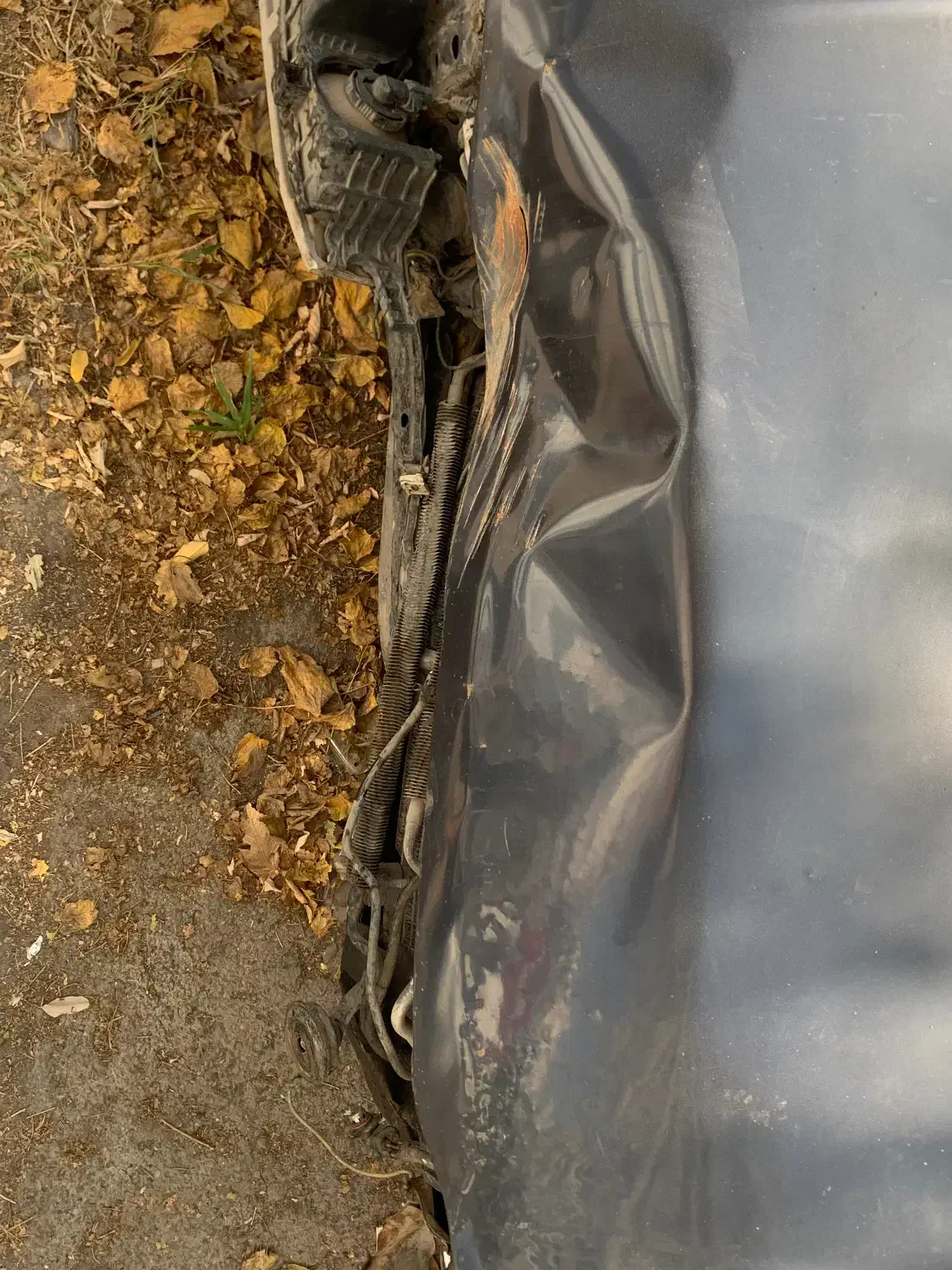 هوندا اکورد مدل 1993 ex|خودرو سواری و وانت|تهران, الهیه|دیوار