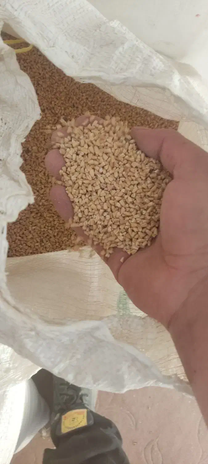 گندم برای حیوون وپرنده|لوازم جانبی حیوانات|داران, |دیوار