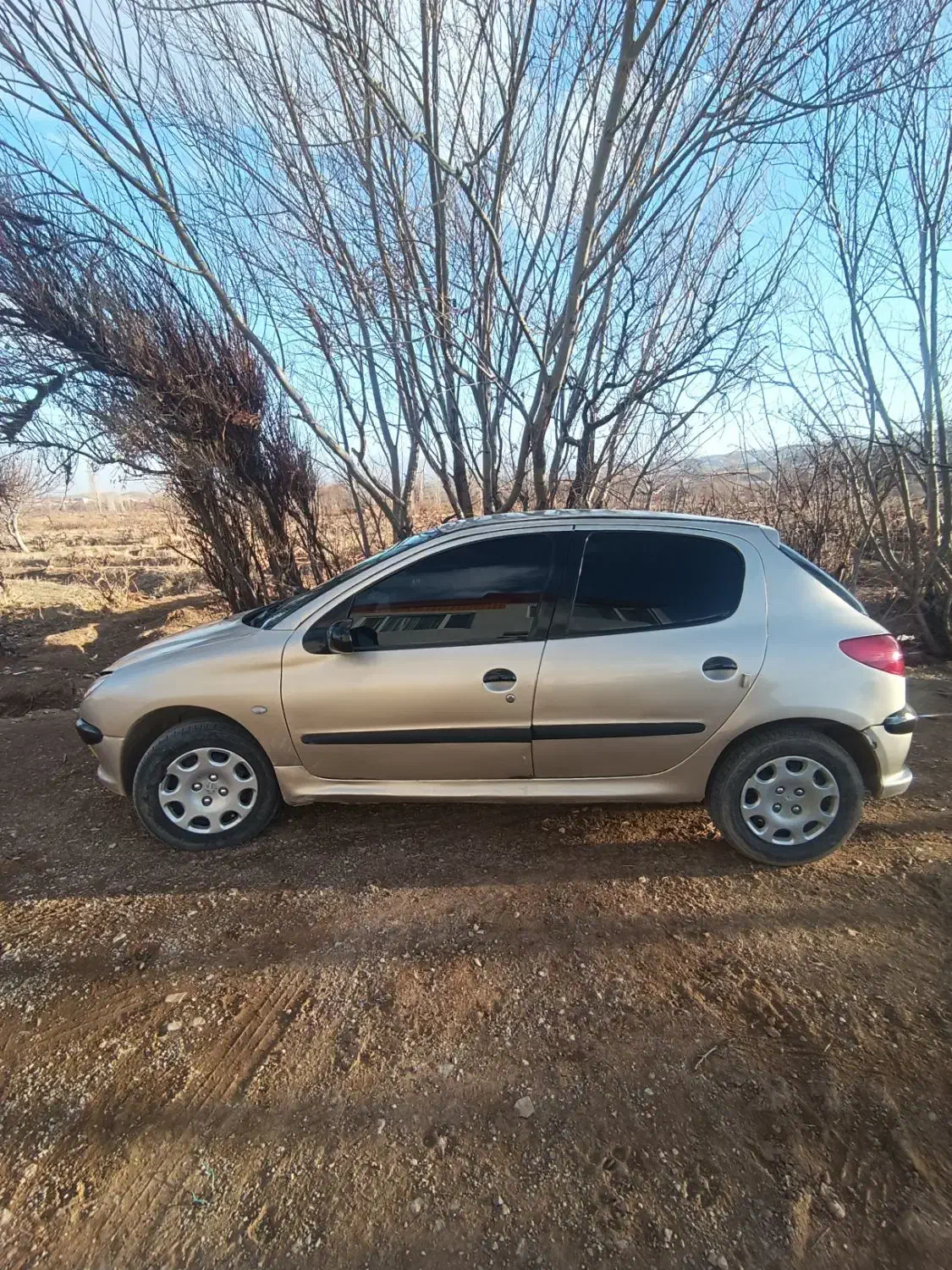 ۲۰۶تیپ ۲|خودرو سواری و وانت|تاکستان, |دیوار